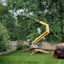 Best Seasonal Cleanup (Spring/Fall)  in South Daytona, FL